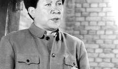 毛泽电视剧在线观看,毛泽电视剧在线观看，重温伟人传奇