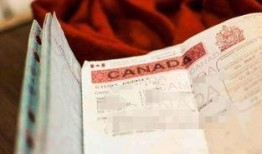 加拿大留学爆料事件最新,揭秘校园潜规则与真实生存挑战