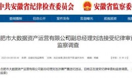 合肥爆料最新消息新闻,突发事件引发关注，详情即将揭晓