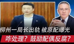 局长柳州最新爆料,揭秘背后惊人真相！