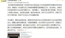 海波小弟发声爆料视频大全