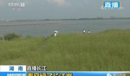 华龙电视在线直播观看,畅享精彩瞬间，尽在指尖