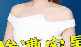 娱乐爆料家暴女星是谁,揭秘家暴女星真相，震惊娱乐圈