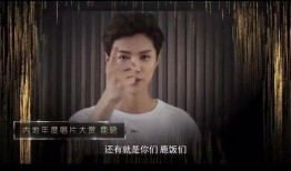 雪狼爆料静雯视频大全集,静雯视频大全集精彩回顾