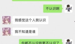 微信吃瓜聊免费,免费畅享热门话题的社交新体验