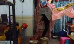 宿舍搞笑爆料视频大全,搞笑爆料视频大盘点