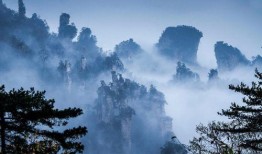 在线观看《悬崖》,谍战风云中的情感与信仰交织