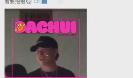 刘大锤爆料的恋情视频,揭秘明星甜蜜瞬间