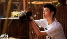 陈红爆料陈飞宇视频,揭秘娱乐圈背后的真相