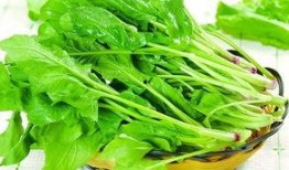 菠菜最新爆料,揭秘娱乐圈惊人内幕