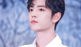 爆料肖战版权事件视频播放,真相与争议并存