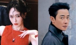 圈内爆料夫妻档,圈内揭秘他们的爱情与事业