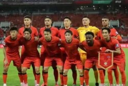 中国队最新爆料,中国队最新动态，备战策略曝光！