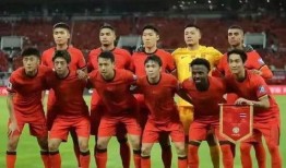 中国队最新爆料,中国队最新动态，备战策略曝光！