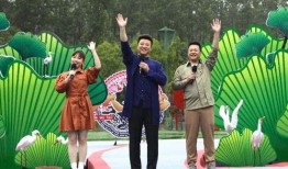 江门网红爆料事件视频最新,揭秘背后真相与争议