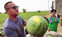 每日热门吃瓜免费,揭秘娱乐圈最新热点事件