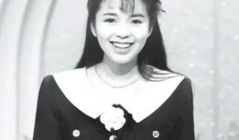 朱迅爆料老梁视频大全集,老梁视频大全集背后的精彩故事