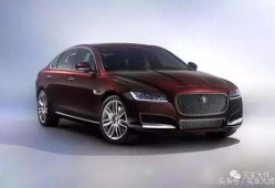 捷豹大姐爆料原视频,一场惊心动魄的冒险之旅