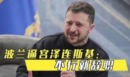 美记者爆料泽连斯基的视频,真相背后引发国际关注”