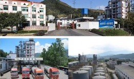 龙岩卓越新能源最新爆料,揭秘未来清洁能源发展新动向