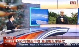 直播宜昌在线观看