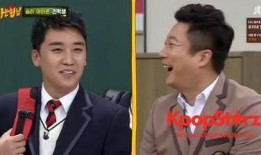 太阳哥哥爆料视频大全集,揭秘娱乐圈幕后真相