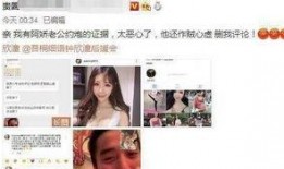 娱乐爆料先生百度云,揭秘娱乐圈幕后风云，百度云独家放送