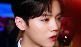 圈内爆料鹿晗yamy刘诗诗,娱乐圈风云再起，神秘事件背后有何玄机？