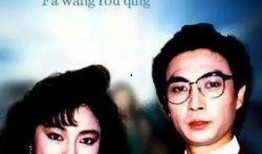 法网柔情在线观看 全集,正义与情感的交织之旅