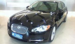 捷豹大姐爆料原视频,一场惊心动魄的冒险之旅