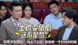 刘维爆料修音视频大全,揭秘娱乐圈修音视频大全