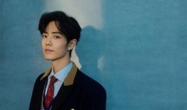 爆料肖战版权事件视频播放,真相与争议并存