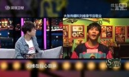 刘维爆料修音视频大全,揭秘娱乐圈修音视频大全