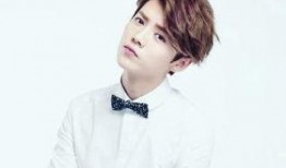 圈内爆料鹿晗yamy刘诗诗,娱乐圈风云再起，神秘事件背后有何玄机？