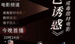 中央6直播在线观看,精彩赛事，一键观看，尽享体育盛宴