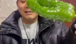 伦敦网红吃瓜事件视频,一场意外的网络风暴揭秘