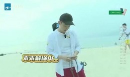 团山最新爆料消息视频播放,视频揭秘惊人内幕，真相即将揭晓！