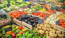 深圳菜市场爆料视频,探寻市井生活百态