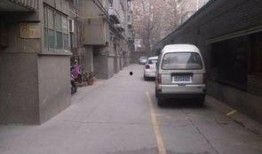 西安建西街最新爆料,揭秘古街新颜背后的故事