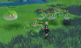 须弥草神最新爆料视频大全,揭秘神秘力量与奇幻冒险