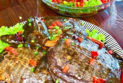 麻辣甲鱼爆料视频大全,揭秘娱乐圈幕后真相