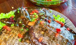 麻辣甲鱼爆料视频大全,揭秘娱乐圈幕后真相