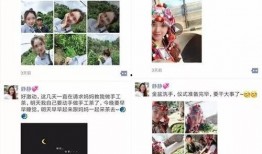美女爆料失恋视频大全,美女爆料视频大盘点