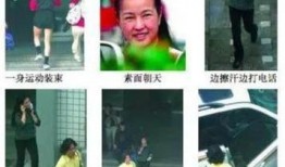 吃瓜乐不停狗仔说娱乐,吃瓜乐不停，娱乐圈幕后故事大曝光