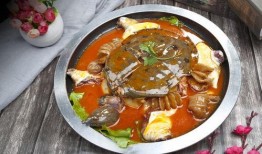 麻辣甲鱼爆料视频大全,揭秘娱乐圈幕后真相