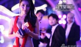 特工艾米拉在线观看,在线观看，揭秘神秘特工的惊险旅程