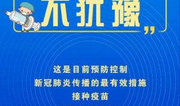 江门新闻爆料江门,聚焦江门最新动态，揭示城市脉搏