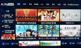 在线观看专区