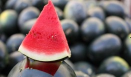 每日热门吃瓜免费,揭秘娱乐圈最新热点事件