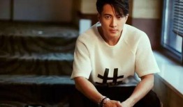 吴尊前妻爆料视频播放,揭秘明星婚姻背后的真相